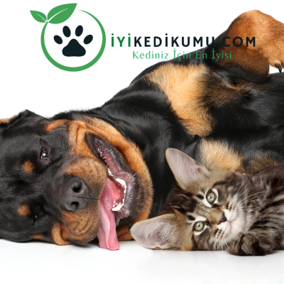 Kedi Köpek Maması Markaları