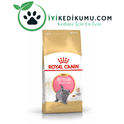 Royal Canin British Shorthair Kitten.png