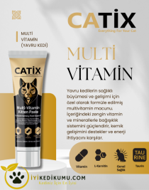 CATİX Paste Junior (Yavru Kediler İçin Multi Vitamin Paste) 100 ML