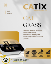 CATİX %100 Doğal Kedi Çimi File HEDİYELİ (Tüy Yumağı Önleyici)
