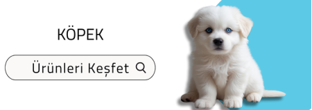 KÖPEK