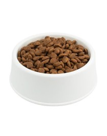 Guupy Somonlu ve Pirinçli Yetişkin Kedi Maması 1 KG Açık mama