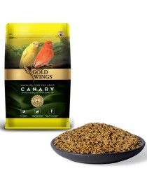 Gold Wings Premium Premium Kanarya 